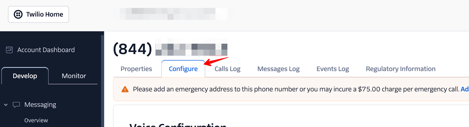 get-started-in-sms-with-a-toll-free-number-in-the-us-google-docs (8).png